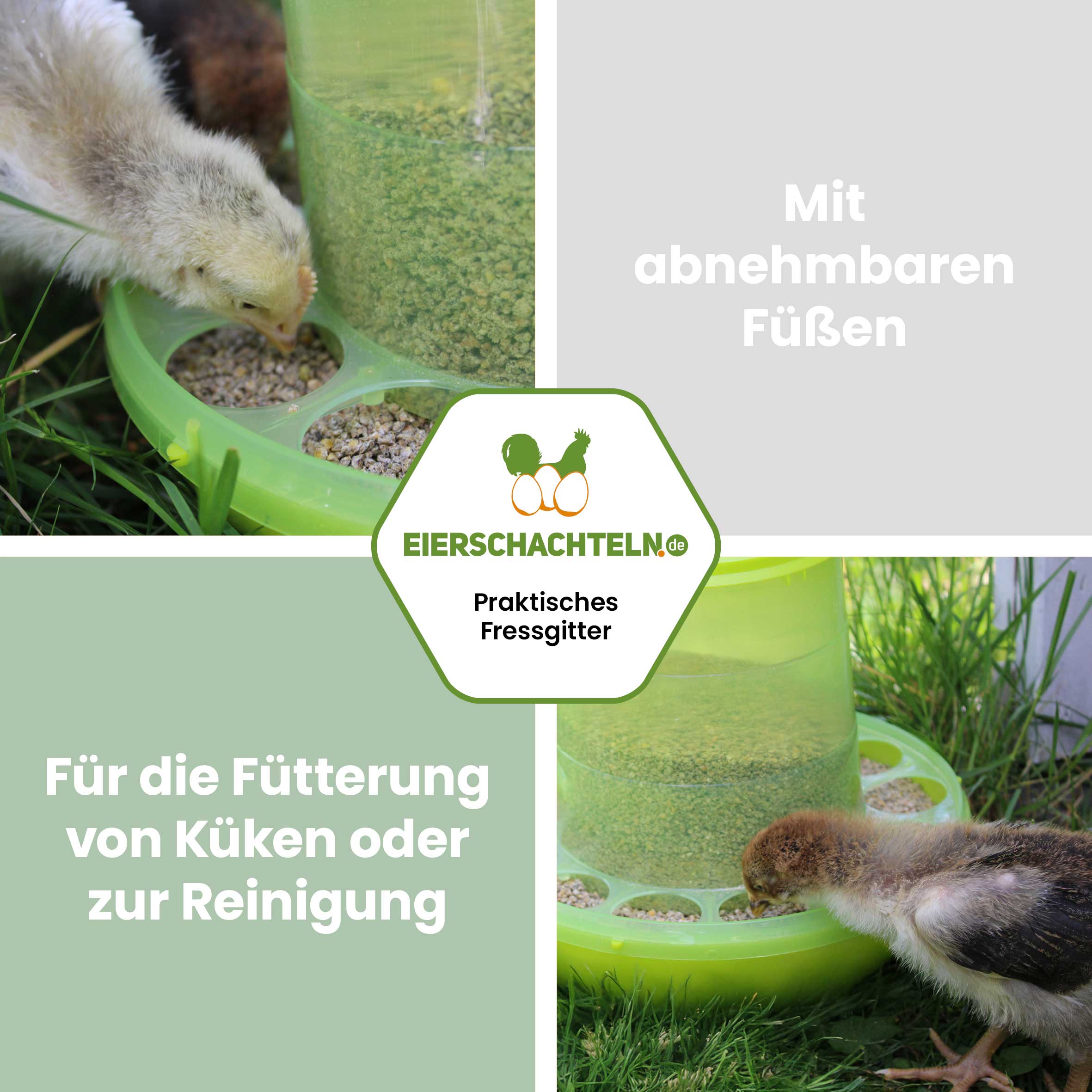 Kleiner Futterautomat mit Füßen hellgrün 2 kg "Mit abnehmbaren Füßen, für die Fütterung von Küken oder zur Reinigung"