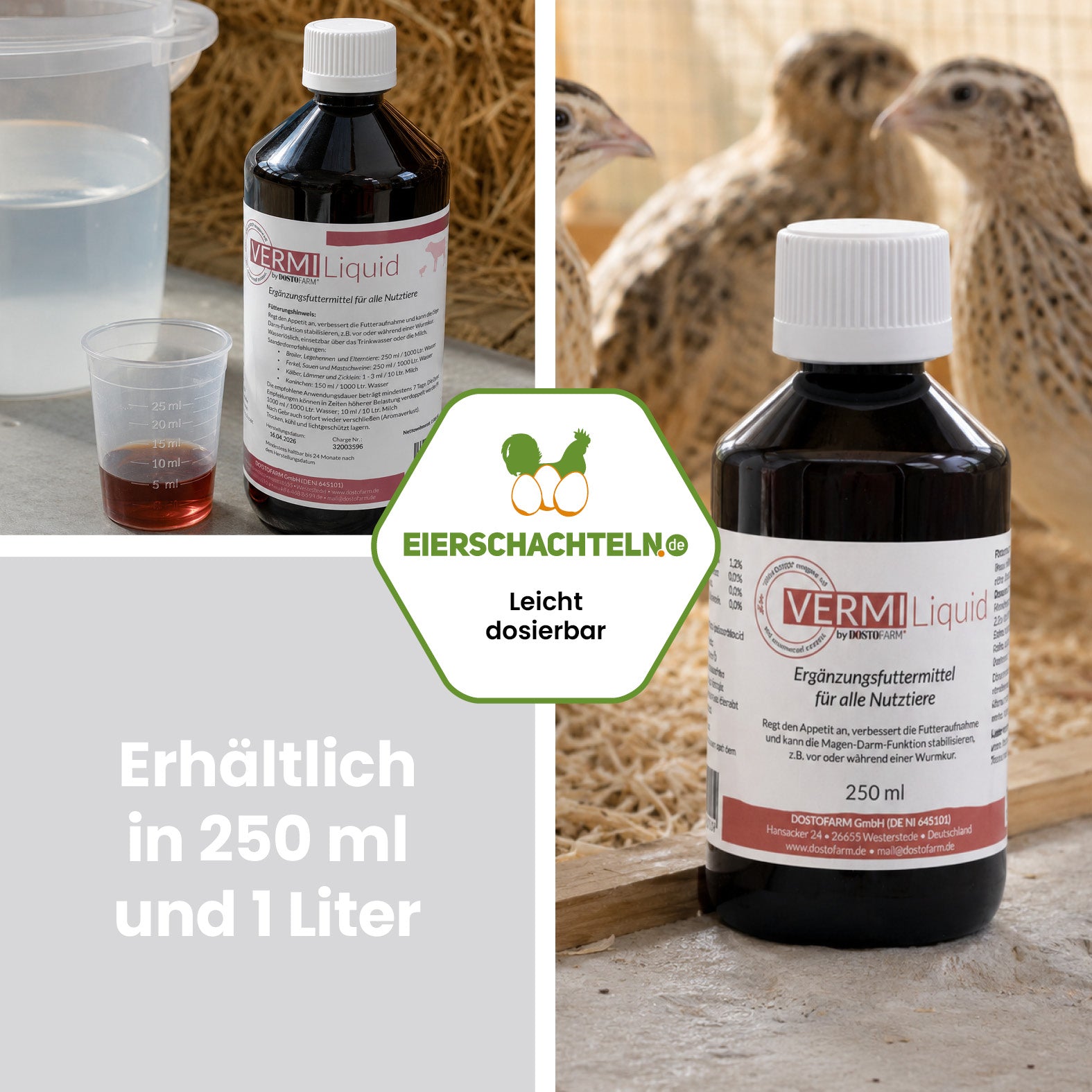 VERMI Liquid – Pflanzliche Ergänzung für ein ausgewogenes Darmmilieu