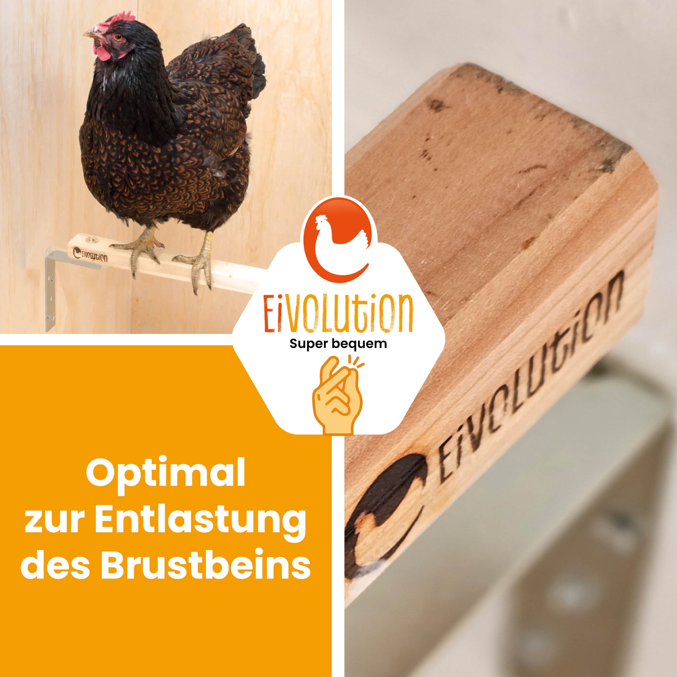 Eivolution Sitzstange "Optimal zur Entlastung des Brustbeins"
