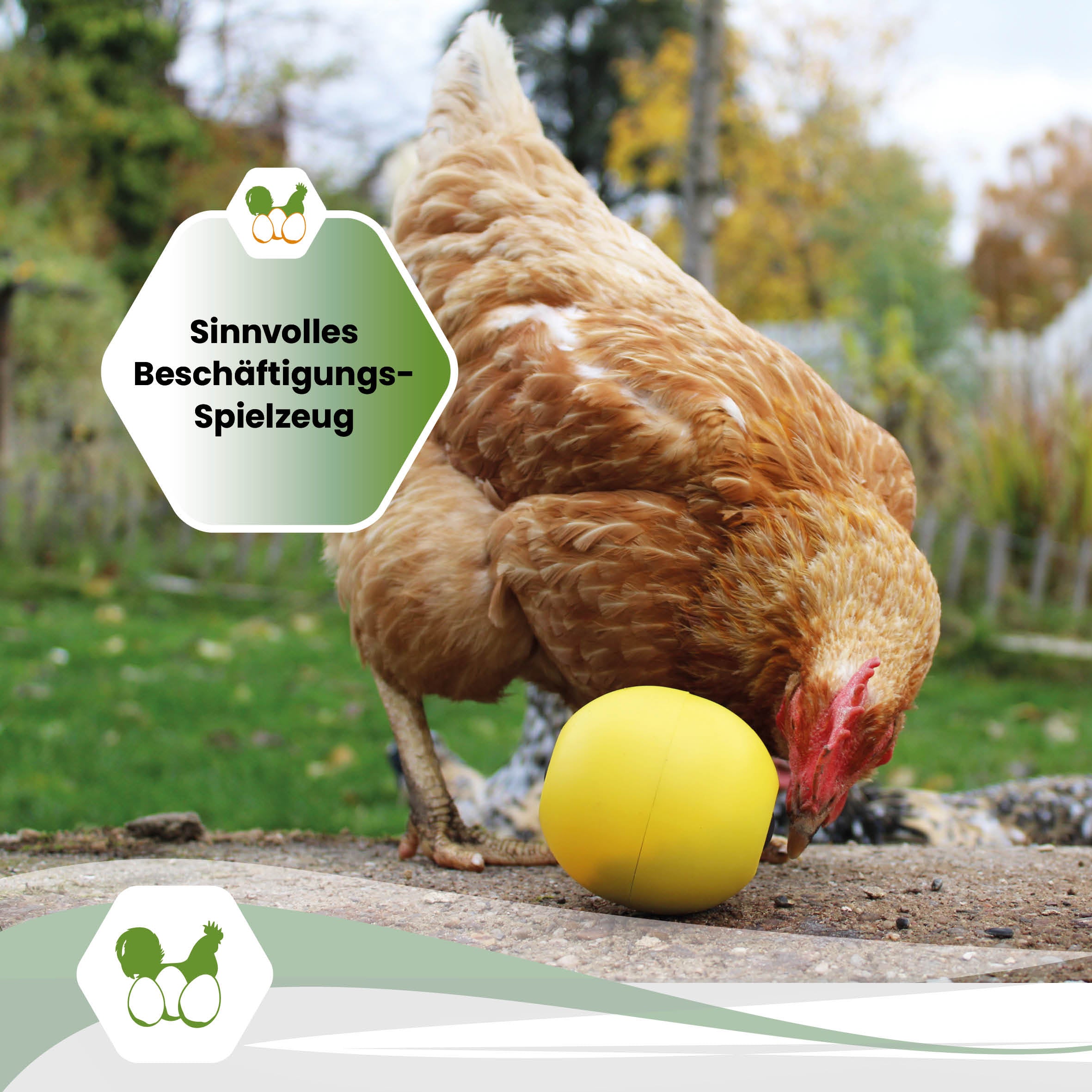 Snackball für Hühner und Puten – Futterball / Beschäftigungsspielzeug
