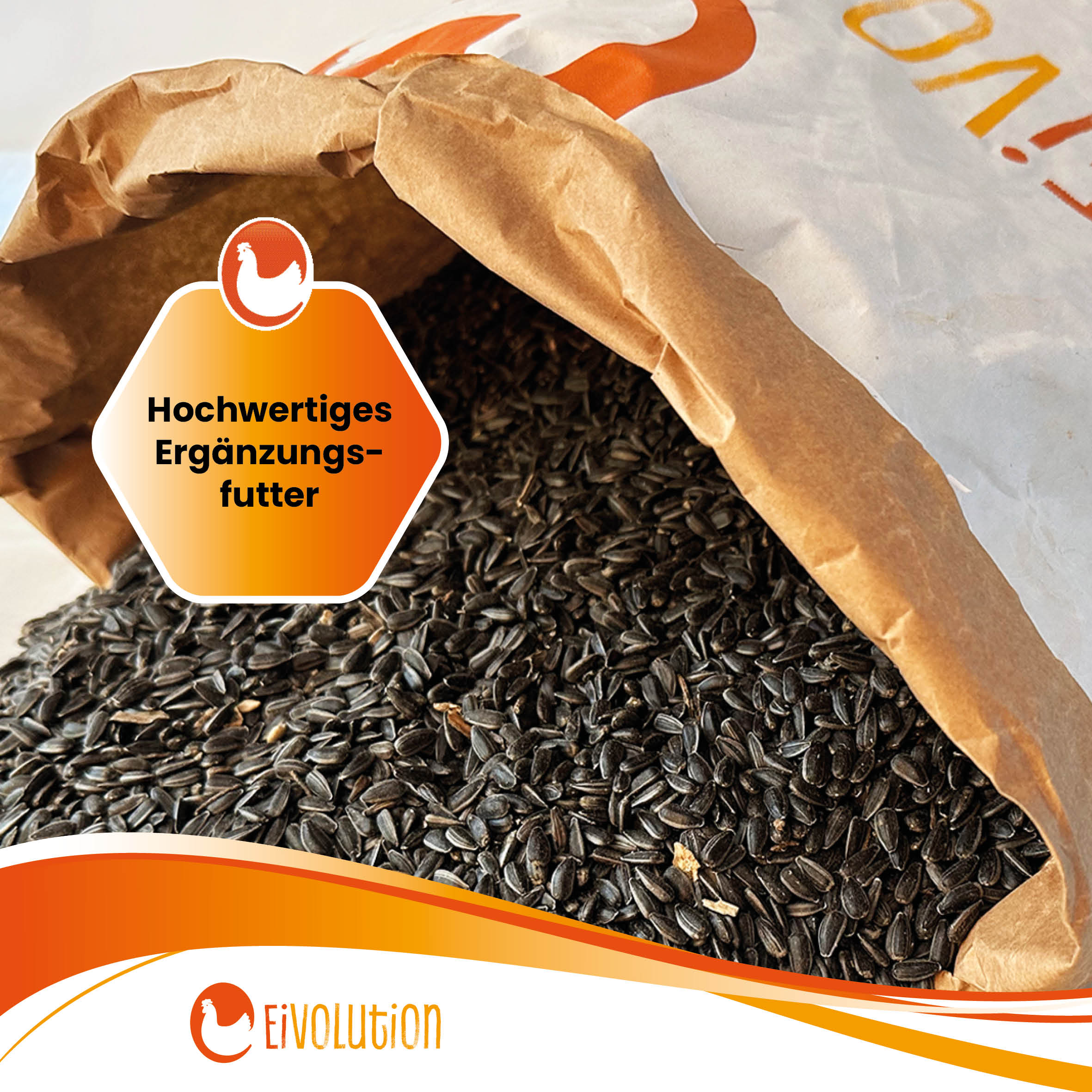 Bio-Sonnenblumenkerne "Hochwertiges Ergänzungsfutter"