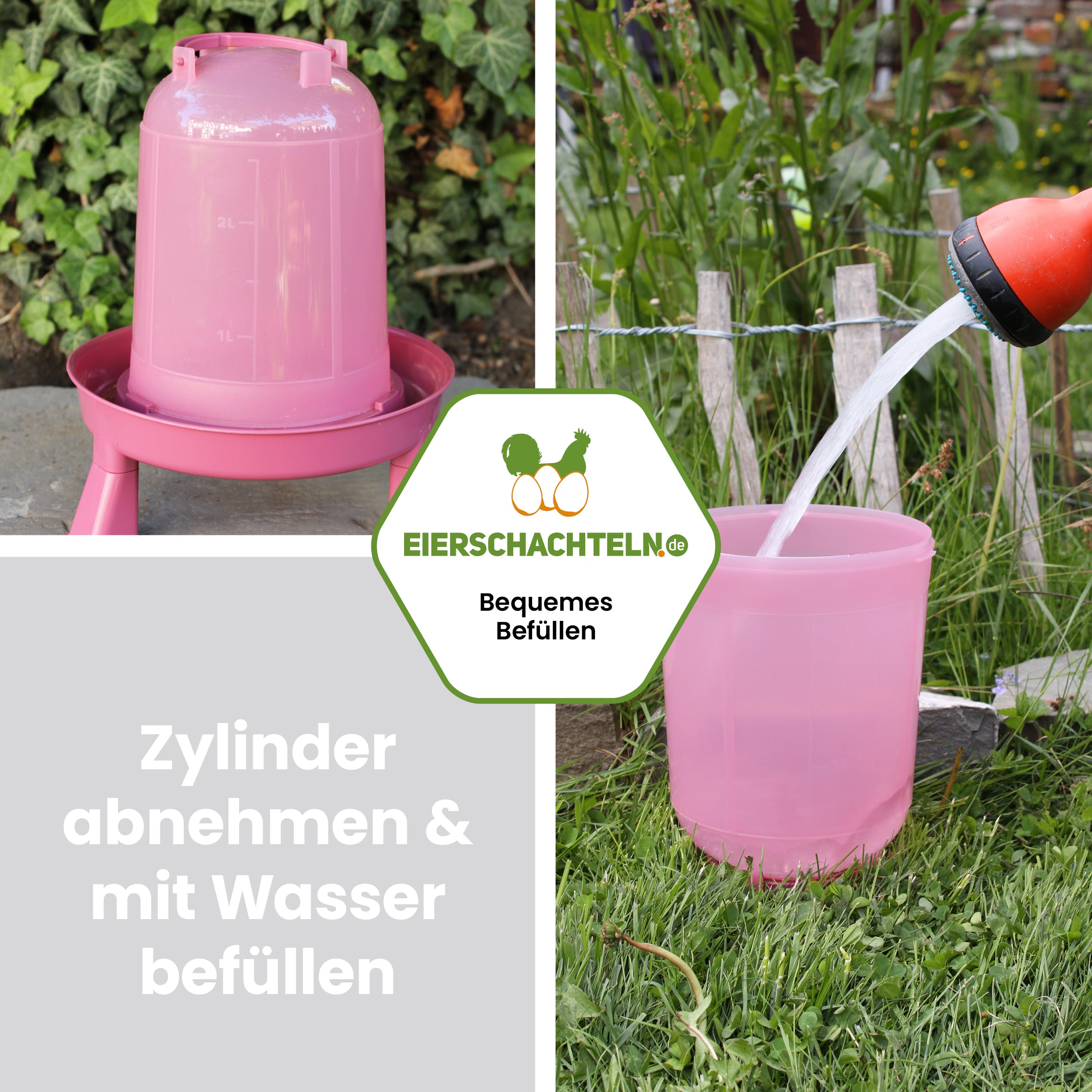 Geflügeltränke 3 Liter in Rosé "Zylinder abnehmbar & mit Wasser befüllen"