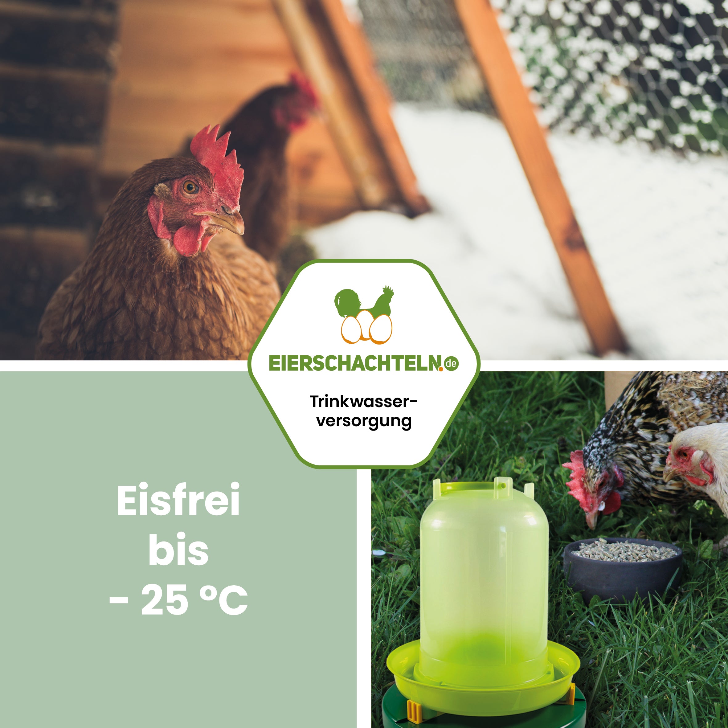 Tränkenwärmer mit Halterung, Niedervoltbetrieb