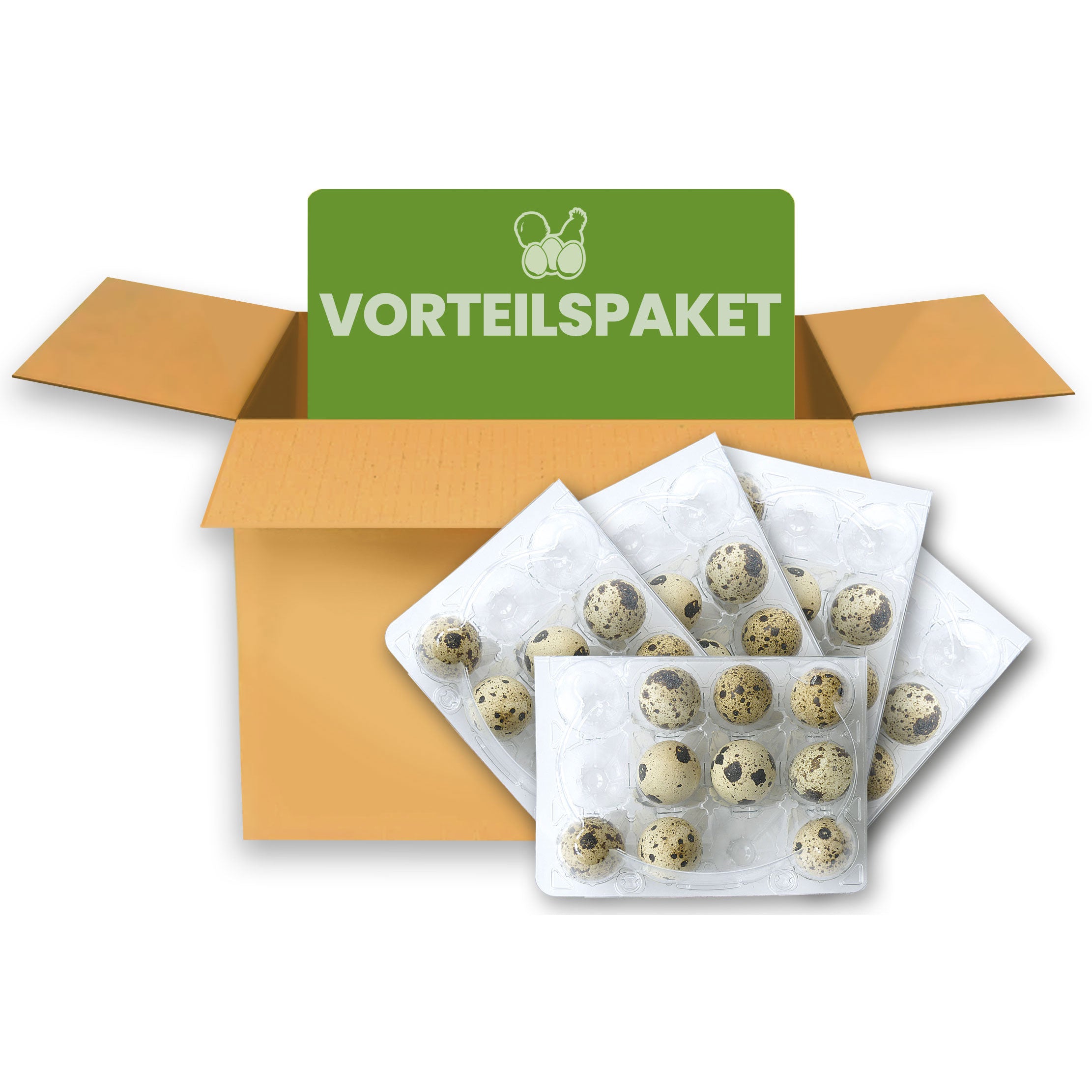 12er Wachteleierschachteln aus PET, im Vorteilspaket