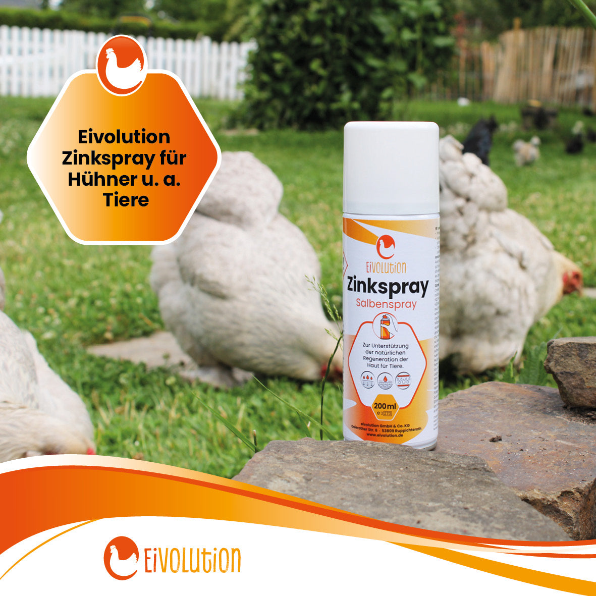 Zinkspray für Hühner u. a. Tiere "eivolution Zinkspray für Hühner u. a. Tiere"
