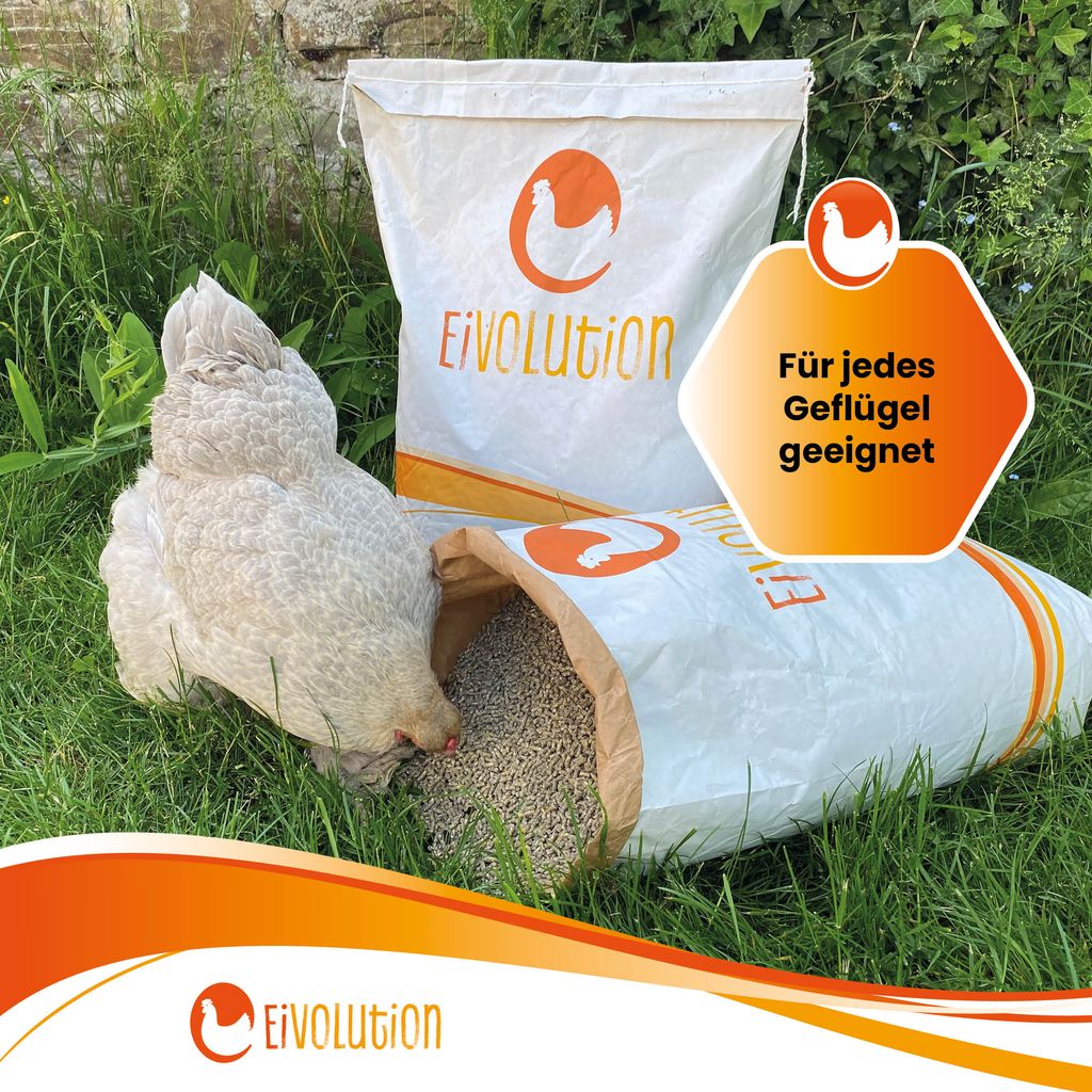 Bio-Hühnerfutter Legemehl mit Oregano-Kräutermix "Für jedes Geflügel geeignet"