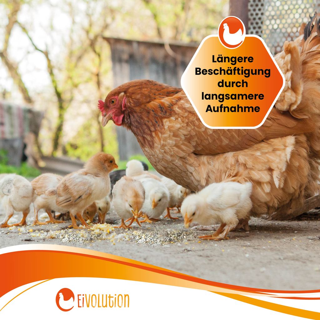 Bio-Hühnerfutter Legemehl mit Oregano-Kräutermix "Längere Beschäftigung durch langsame Aufnahme"
