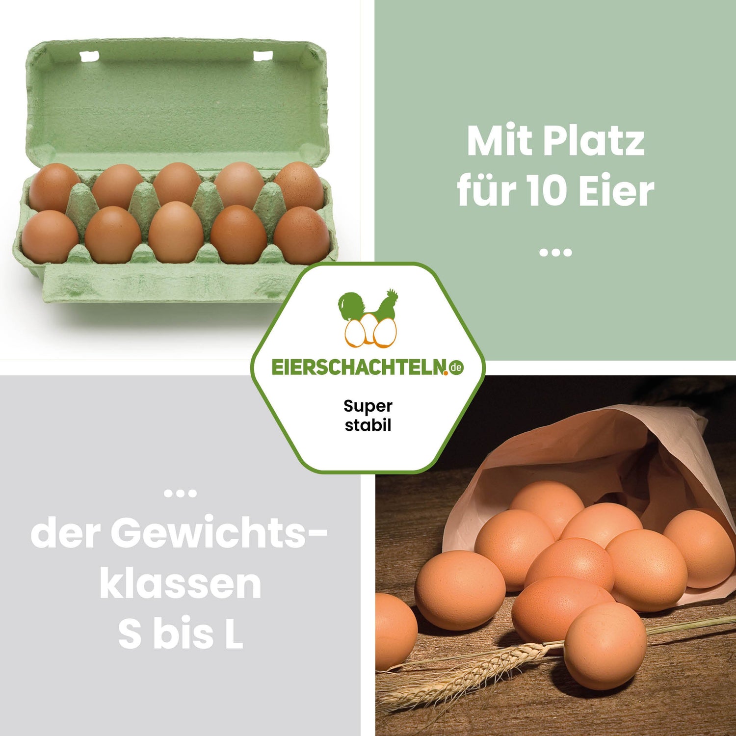 EcoPack 10er ohne Etikett in fünf Farben, grün "Mit Platz für 10 Eier der Gewichtsklassen S bis L"