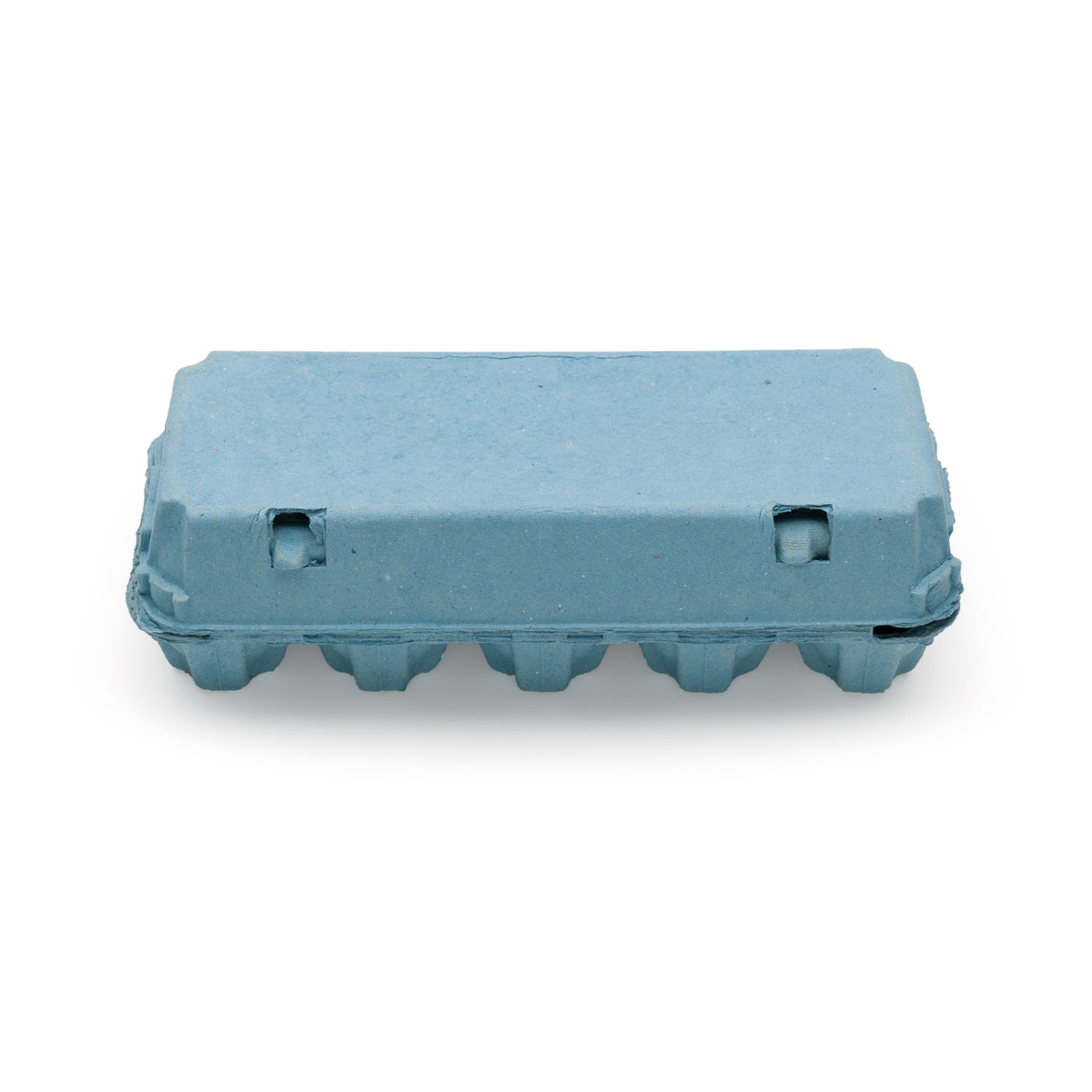 EcoPack 10er Eierschachtel, blau