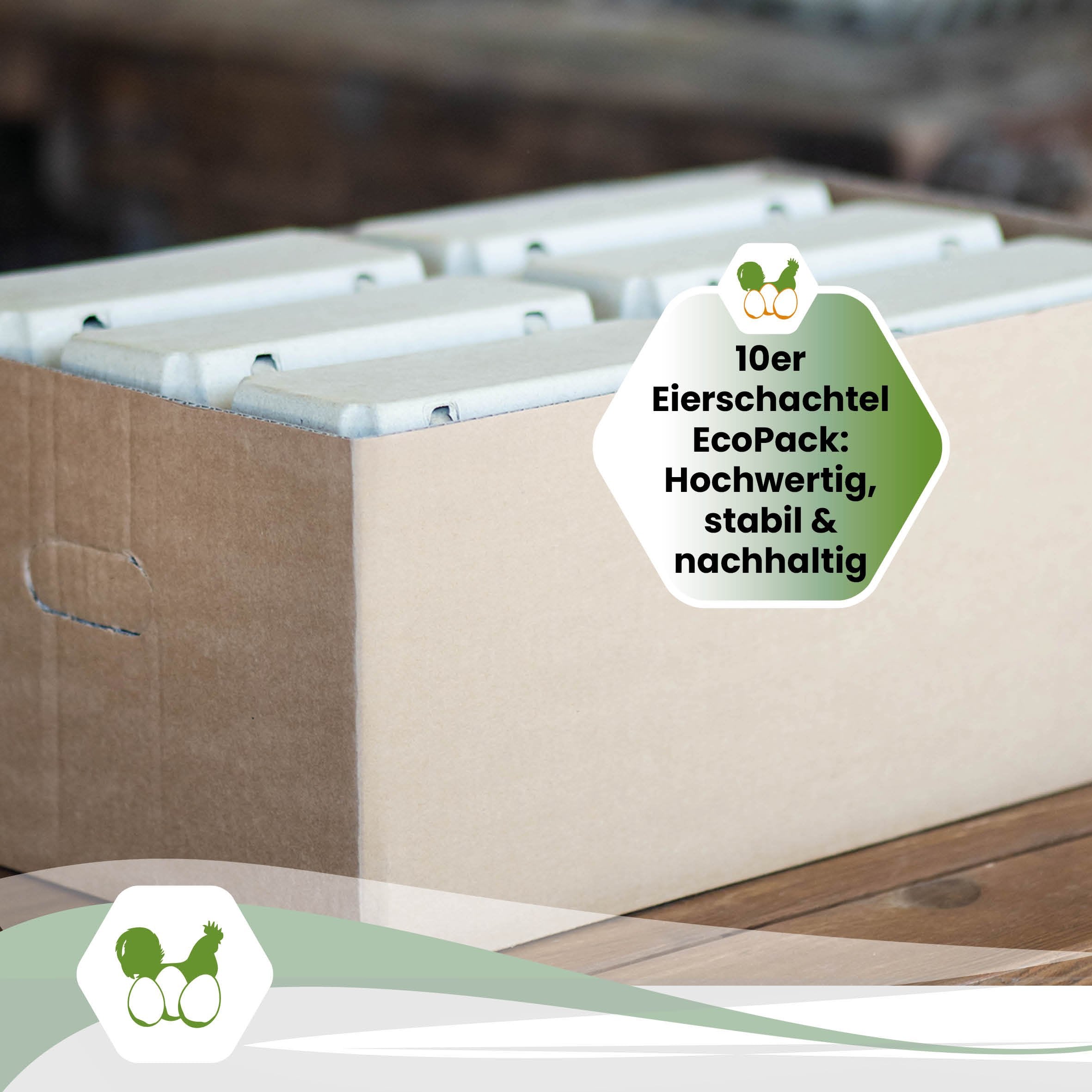 EcoPack 10er ohne Etikett in fünf Farben, grau "10er Eierschachtel EcoPack: Hochwertig, stabil &amp; nachhaltig"
