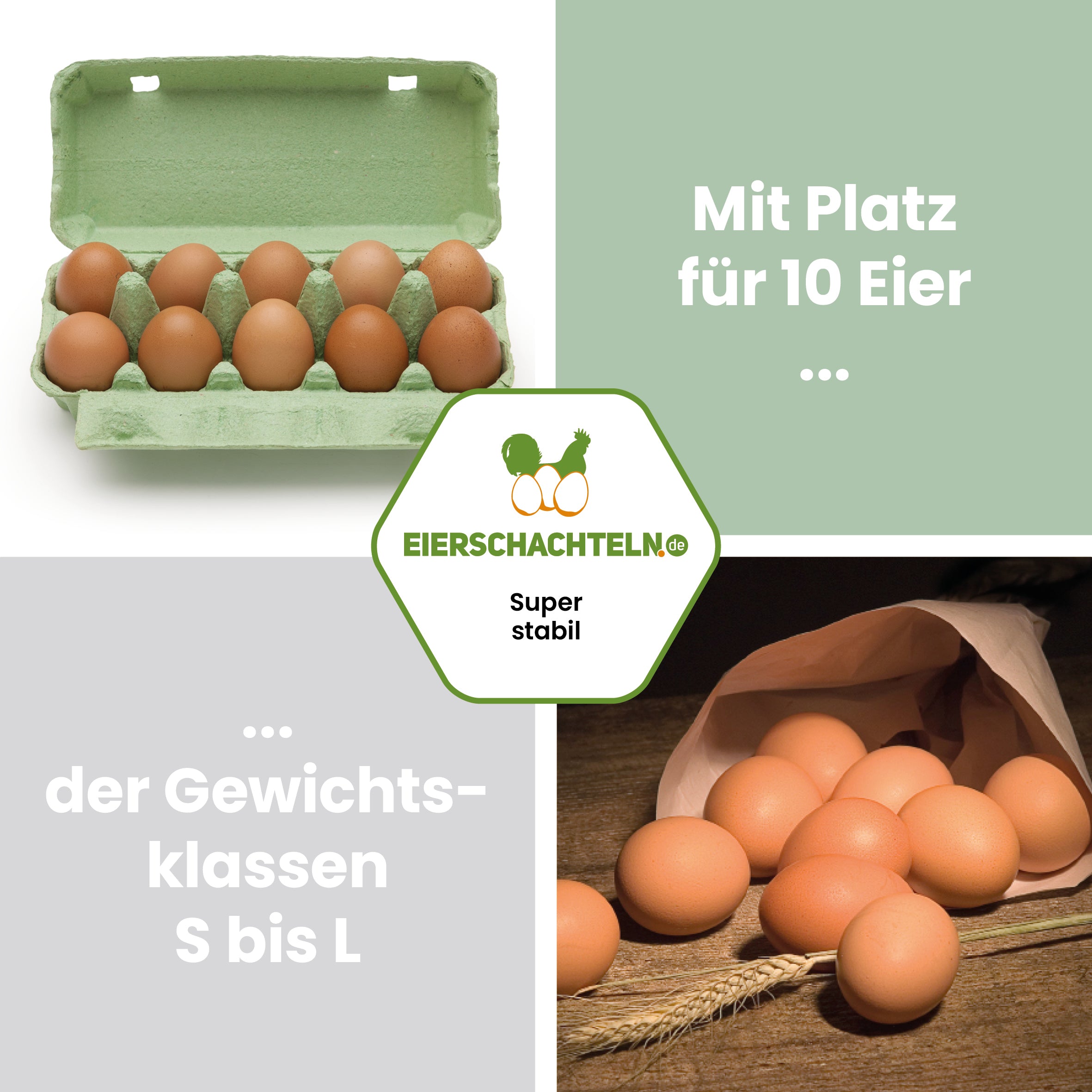 EcoPack 10er mit eigenem Etikett, grün "Mit Platz für 10 Eier der Gewichtsklassen S bis L" 