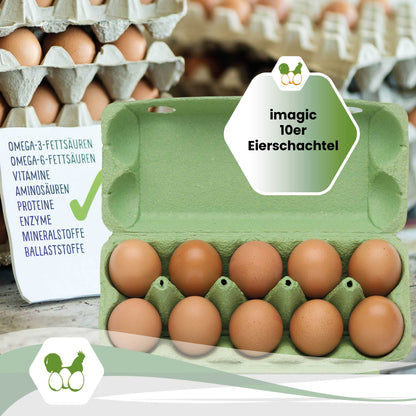 10er imagic Eierschachteln, grün "imagic 10er Eierschachtel"