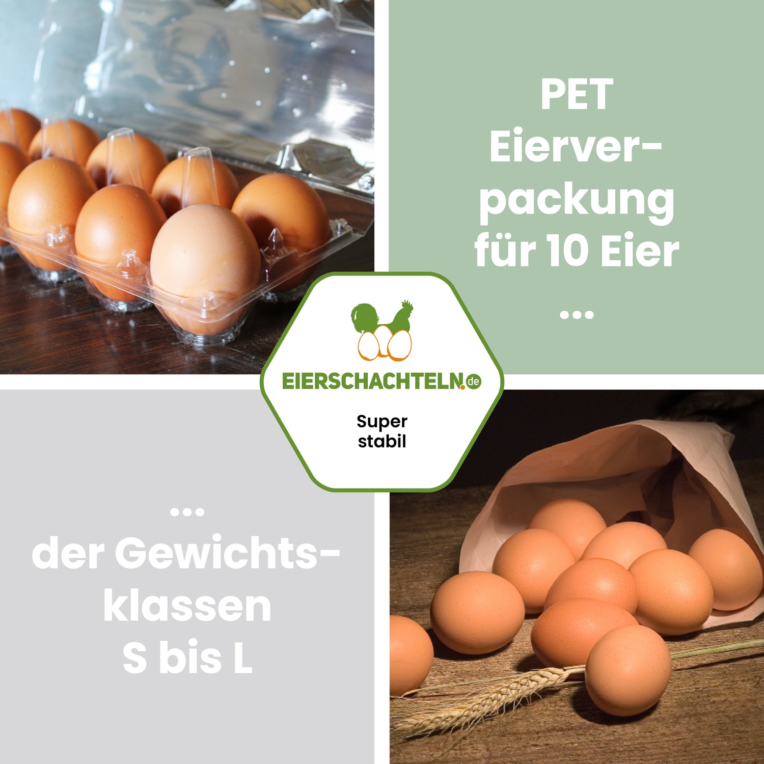 10er PET Eierverpackungen, transparent "PET Eierverpackung für 10 Eier der Gewichtsklassen S bis L"