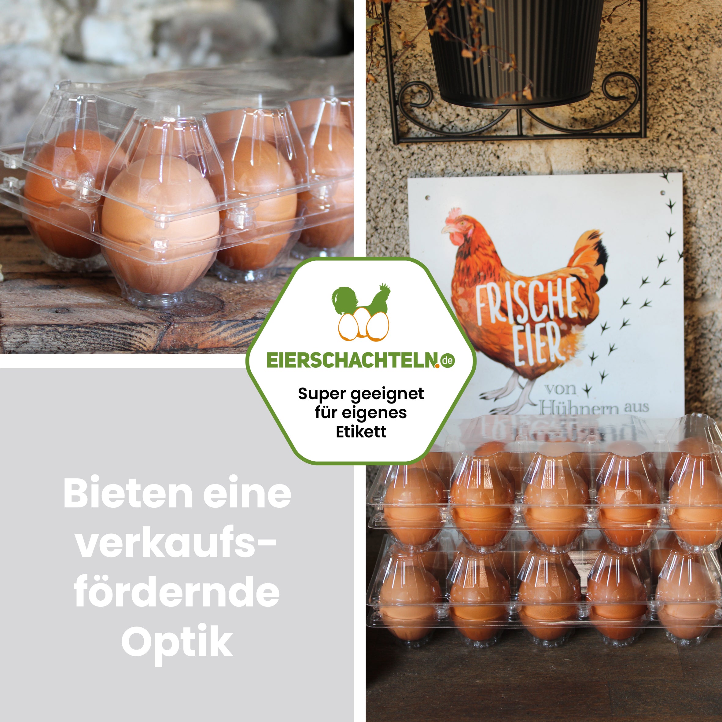 10er PET Eierverpackung "Bieten eine verkaufsfördernde Optik" 