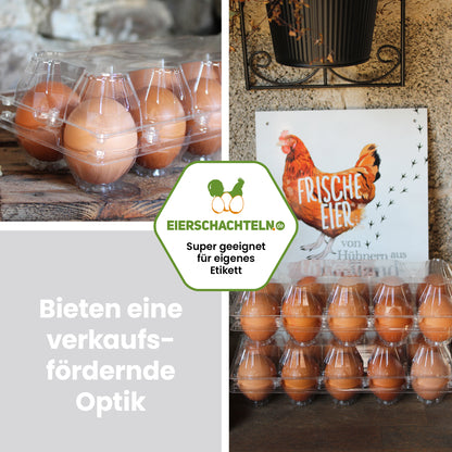 10er PET Eierverpackung "Bieten eine verkaufsfördernde Optik" 