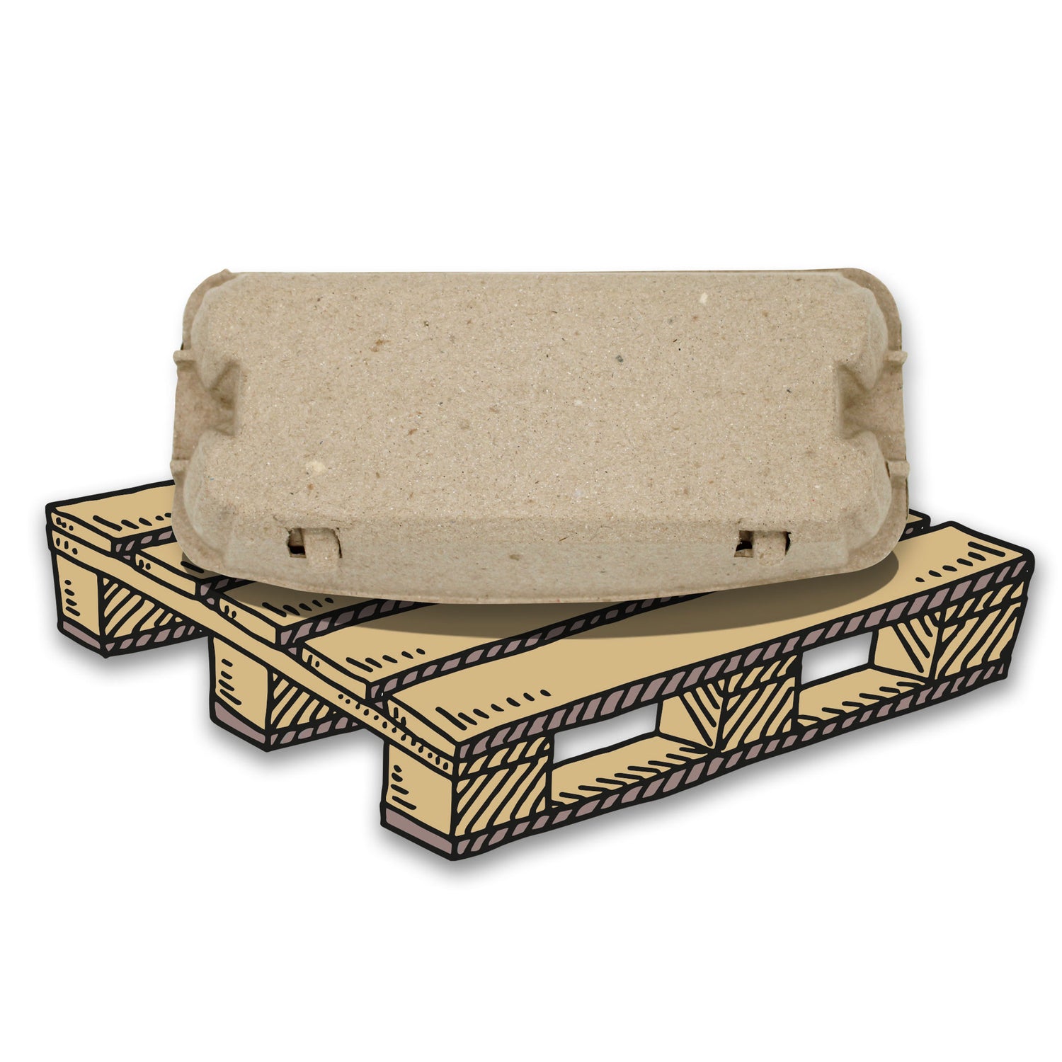 EuroPack 10er Eierschachtel Palette