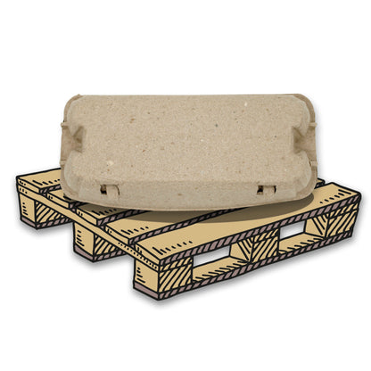 EuroPack 10er Eierschachtel Palette