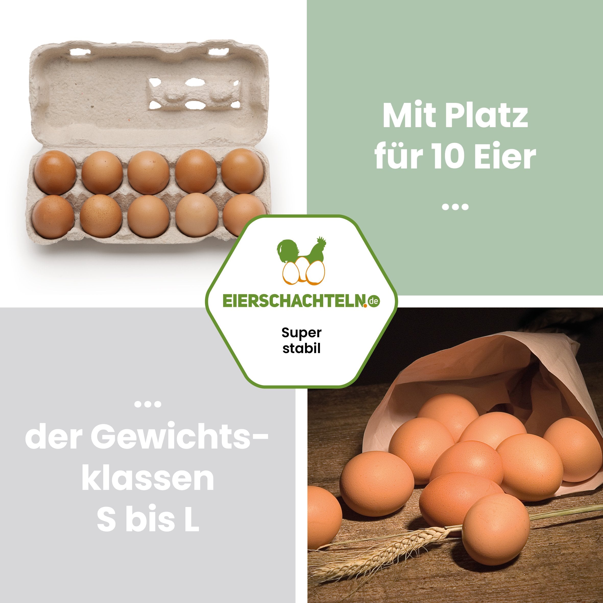 10er Eierschachteln TopView für BIO-Eier "Mit Platz für 10 Eier der Gewichtsklassen S bis L"