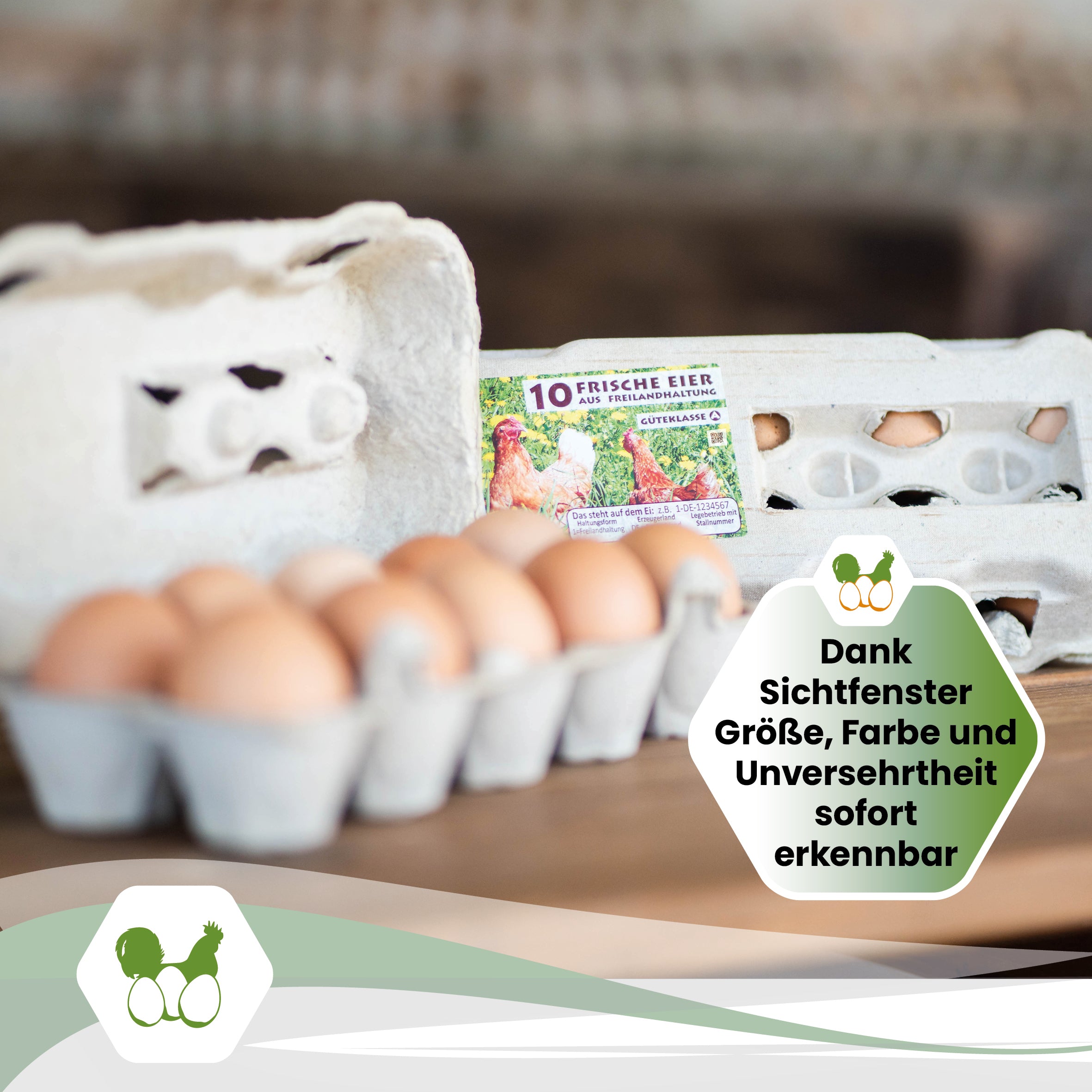 TopView 10er Eierschachteln mit Freiland-Etikett "Dank Sichtfenster Größe, Farbe und Unversehrtheit sofort erkennbar"