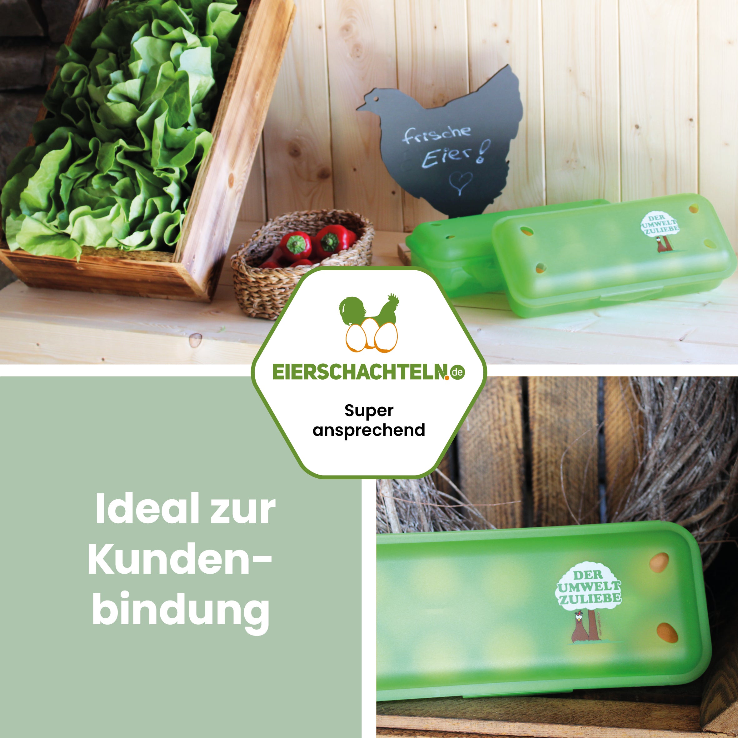 Meibox 10 Mehrweg-Eierschachtel "Ideal zur Kundenbindung"