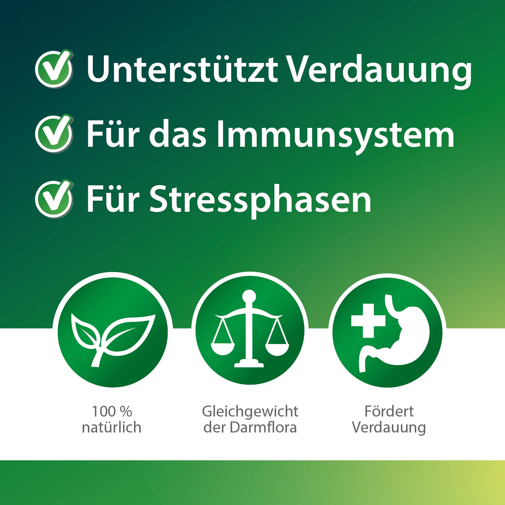 Darmwohl von Röhnfried – Unterstützt die Verdauung bei Gefügel und Kaninchen