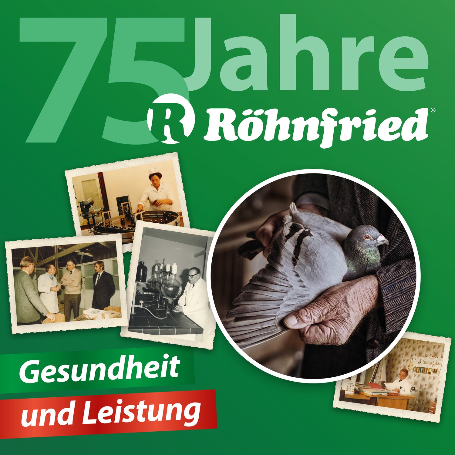 Fed-Pick "75 Jahre Röhnfried"