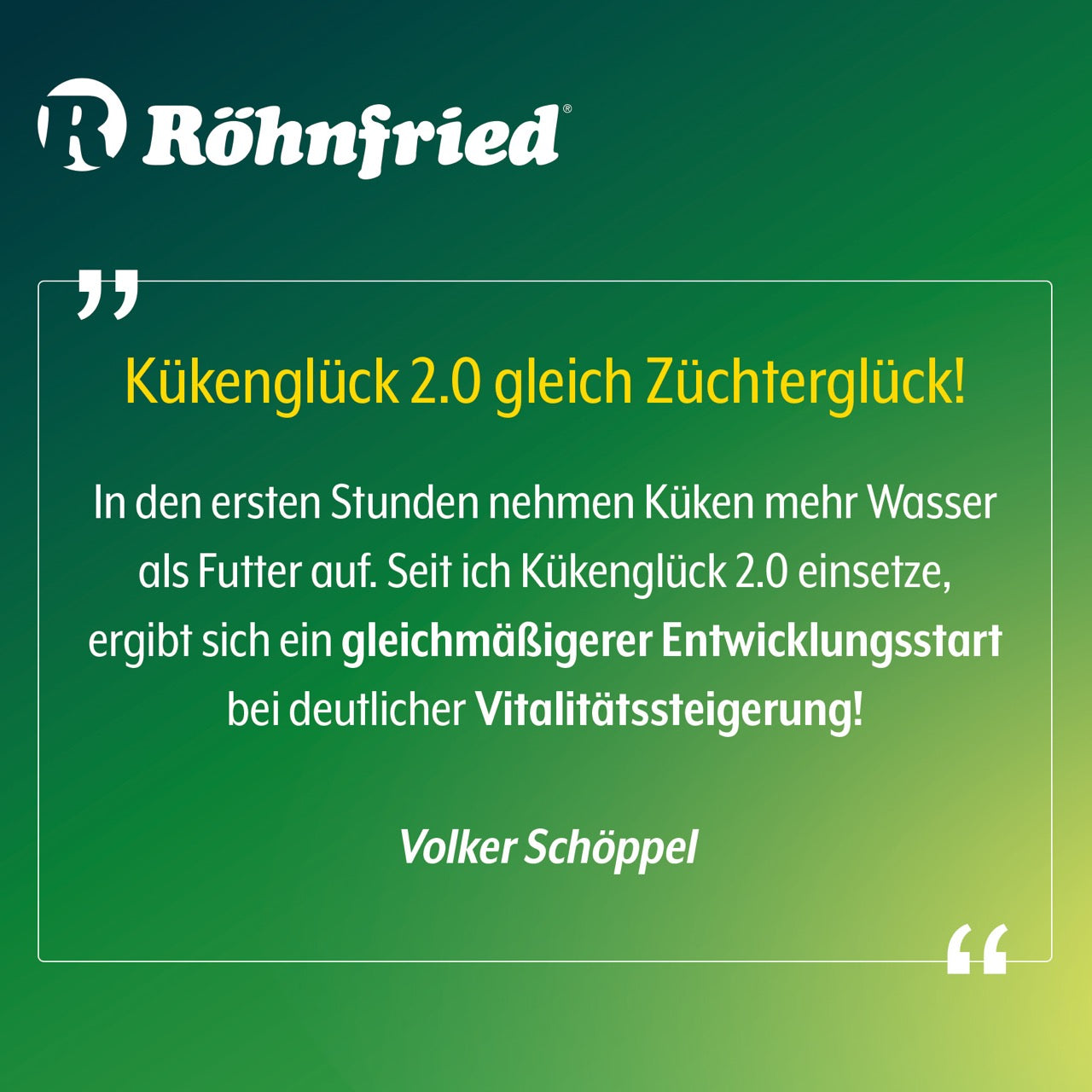 Kükenglück 2.0 "Kundenrezension"