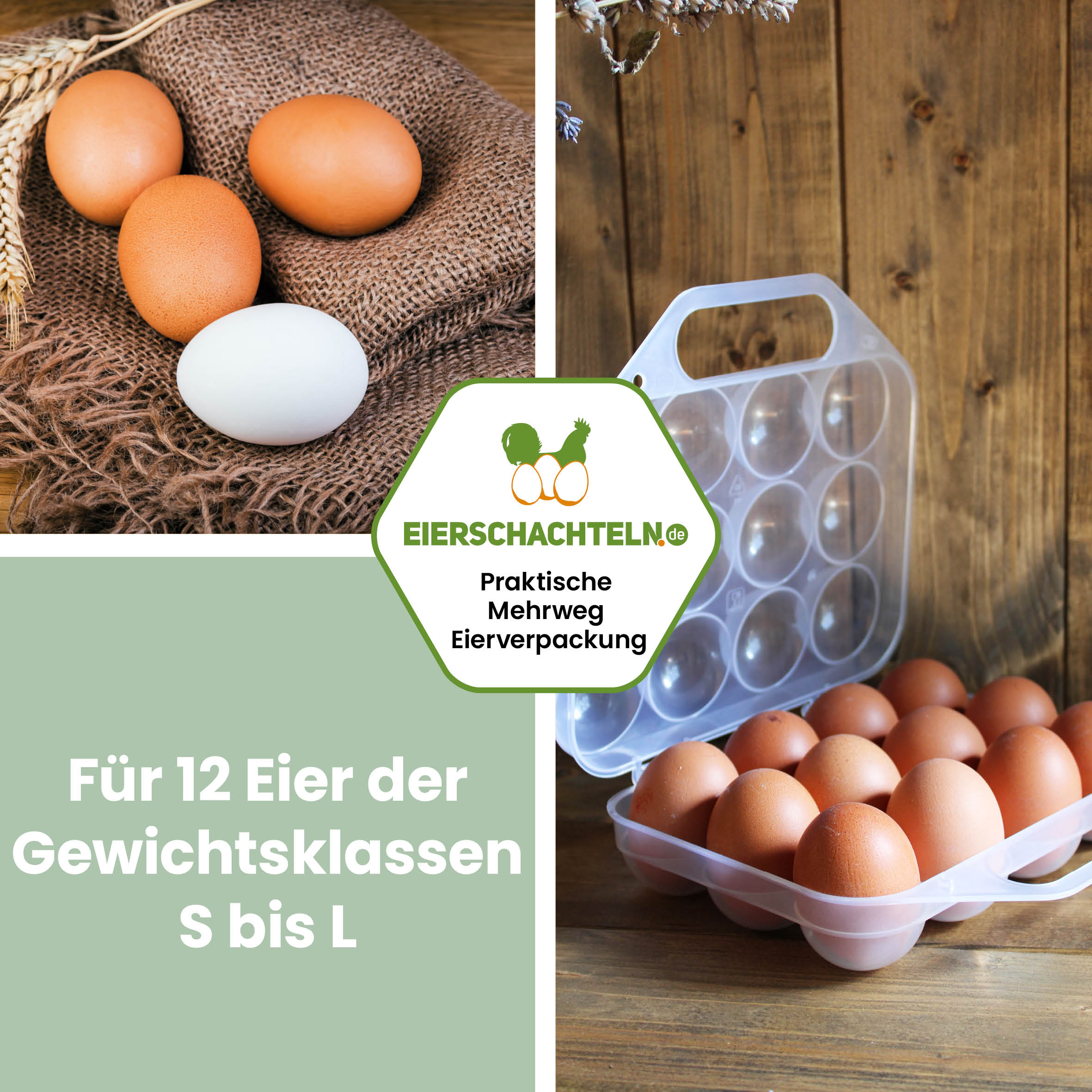 12er Mehrweg Kunststoff Eierbox - schönes Design &amp; praktisches Format in zwei Farben
