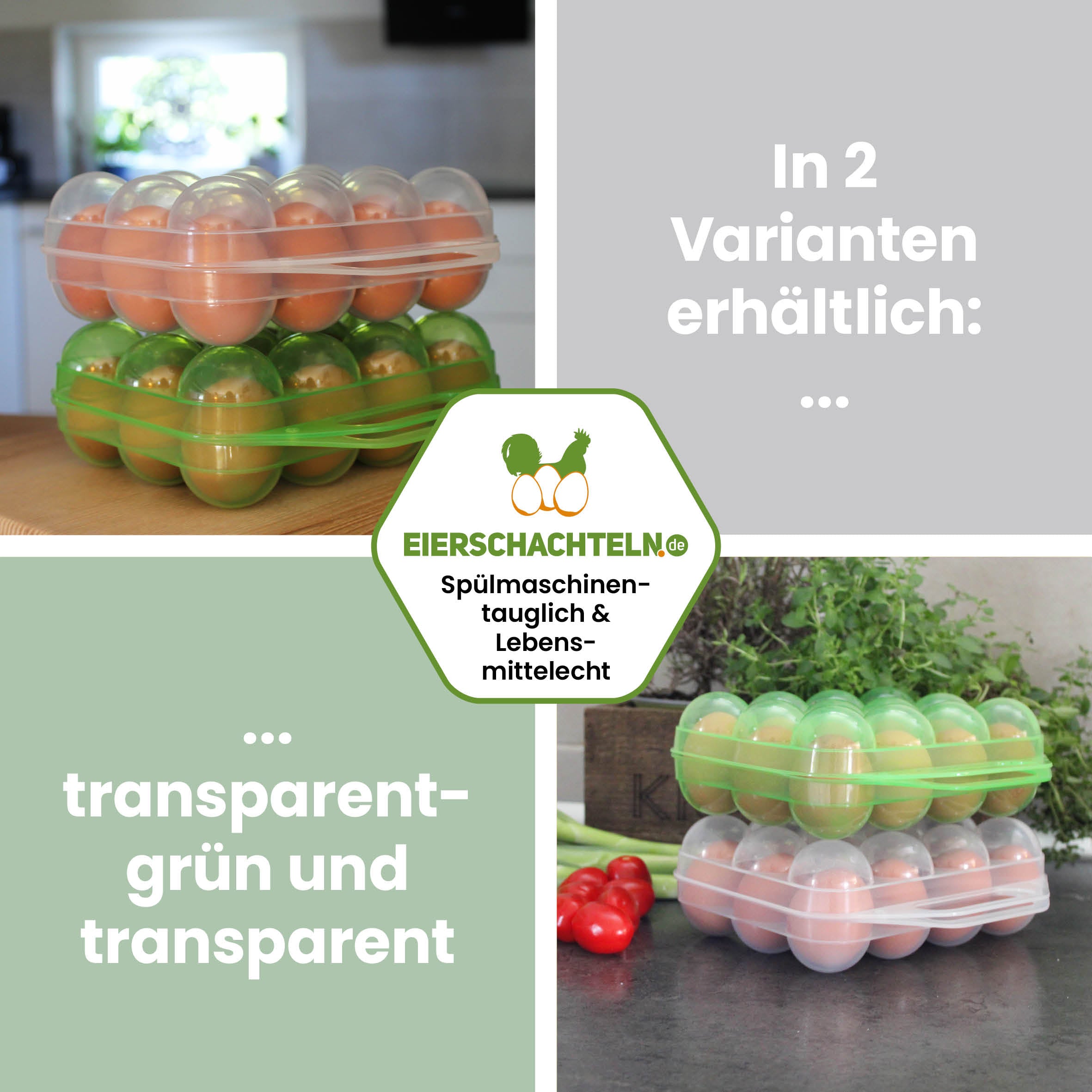 12er Mehrweg Kunststoff Eierbox - schönes Design &amp; praktisches Format in zwei Farben