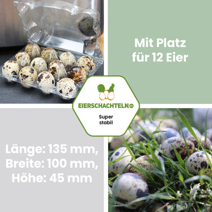 12er Wachteleierverpackung aus PET Kunststoff "Mit Platz für 12 Eier Länge: 135 mm, Breite: 100 mm, Höhe: 45 mm"