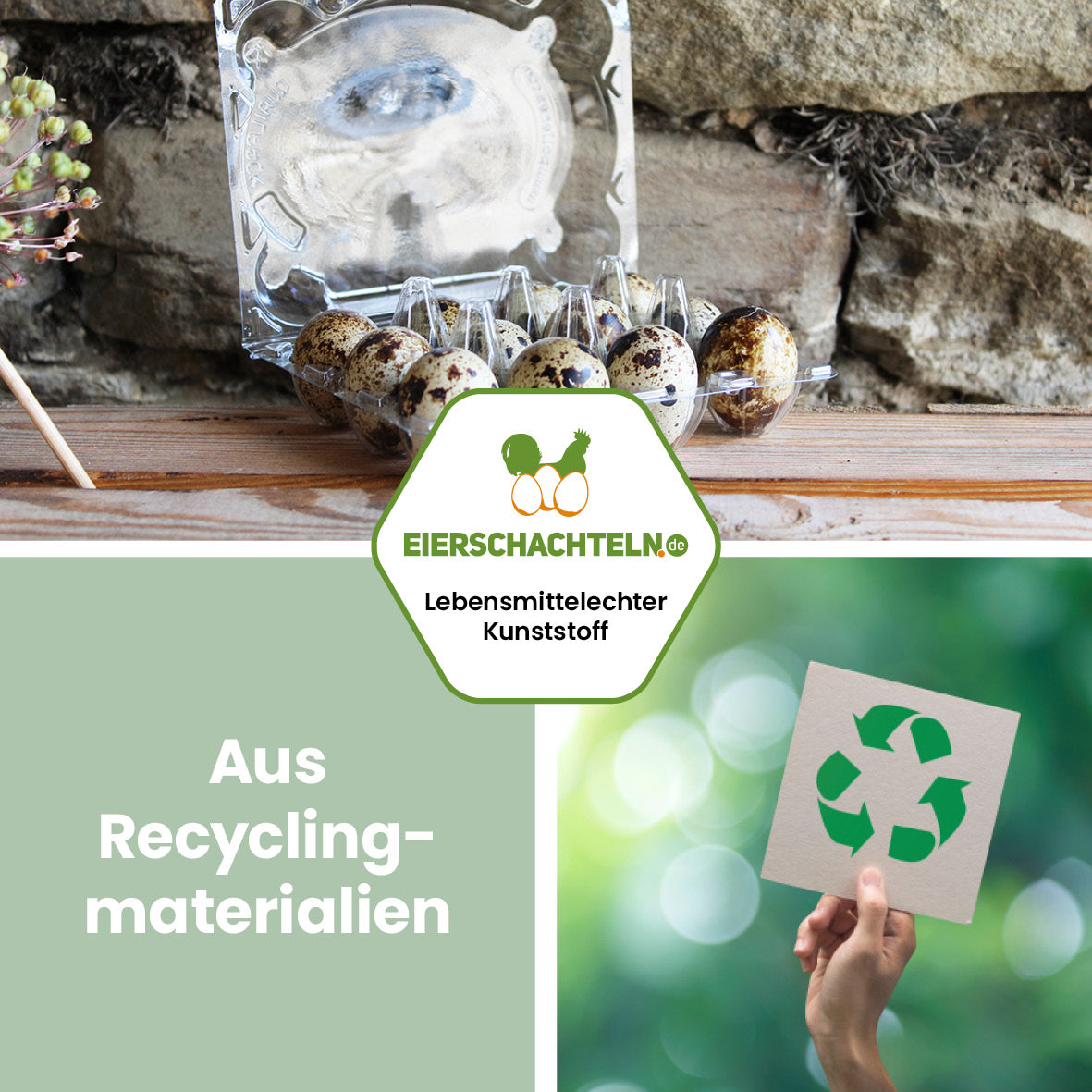 12er Wachteleierverpackung "Aus Recyclingmaterialien"