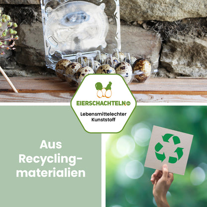 12er Wachteleierverpackung "Aus Recyclingmaterialien"