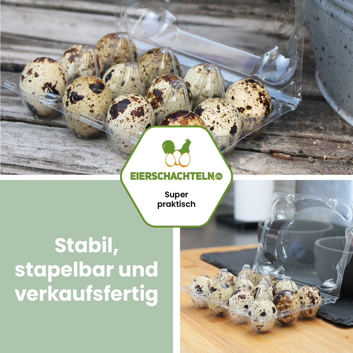 12er Wachteleierverpackung "Stabil, stapelbar und verkaufsfertig"