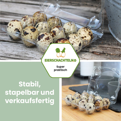 12er Wachteleierverpackung "Stabil, stapelbar und verkaufsfertig"