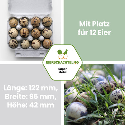 12er Wachteleierschachtel "Mit Platz für 12 Eier Länge: 122 mm, Breite: 95 mm, Höhe: 42 mm"