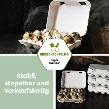 12er Wachteleierschachteln aus Pappe "Stabil, stapelbar und verkaufsfertig"