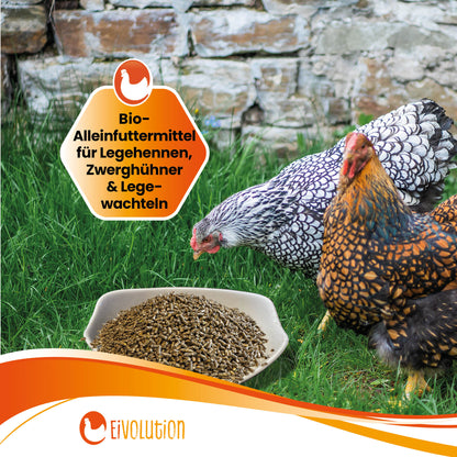 Bio Hühnerfutter Pellets mit Hanf ohne Soja - Naturland zertifiziert "Bio - Alleinfuttermittel für Legehennen, Zwerghühner &amp; Legewachteln" 