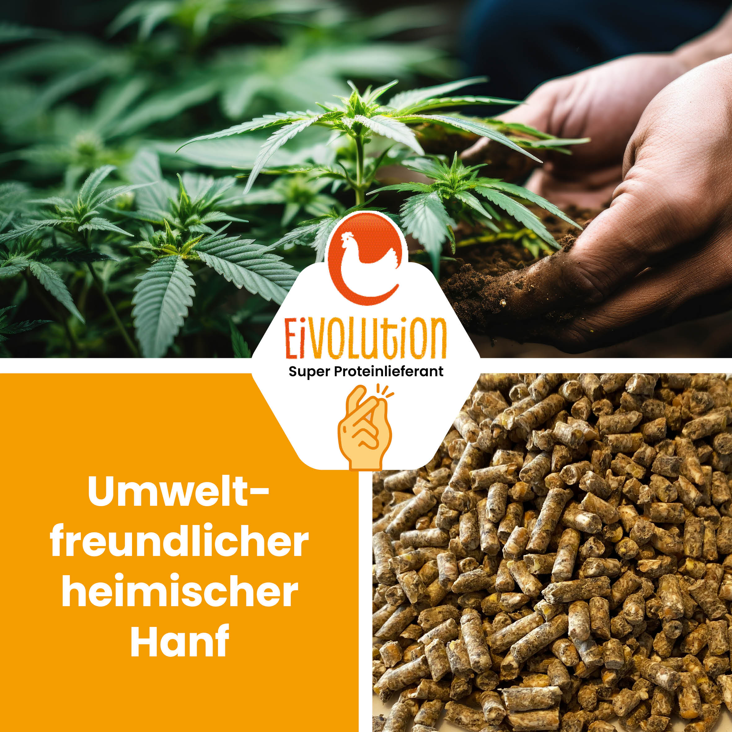 Bio Hühnerfutter Pellets mit Hanf ohne Soja - Naturland zertifiziert "Umweltfreundlicher heimischer Hanf" eivolution 