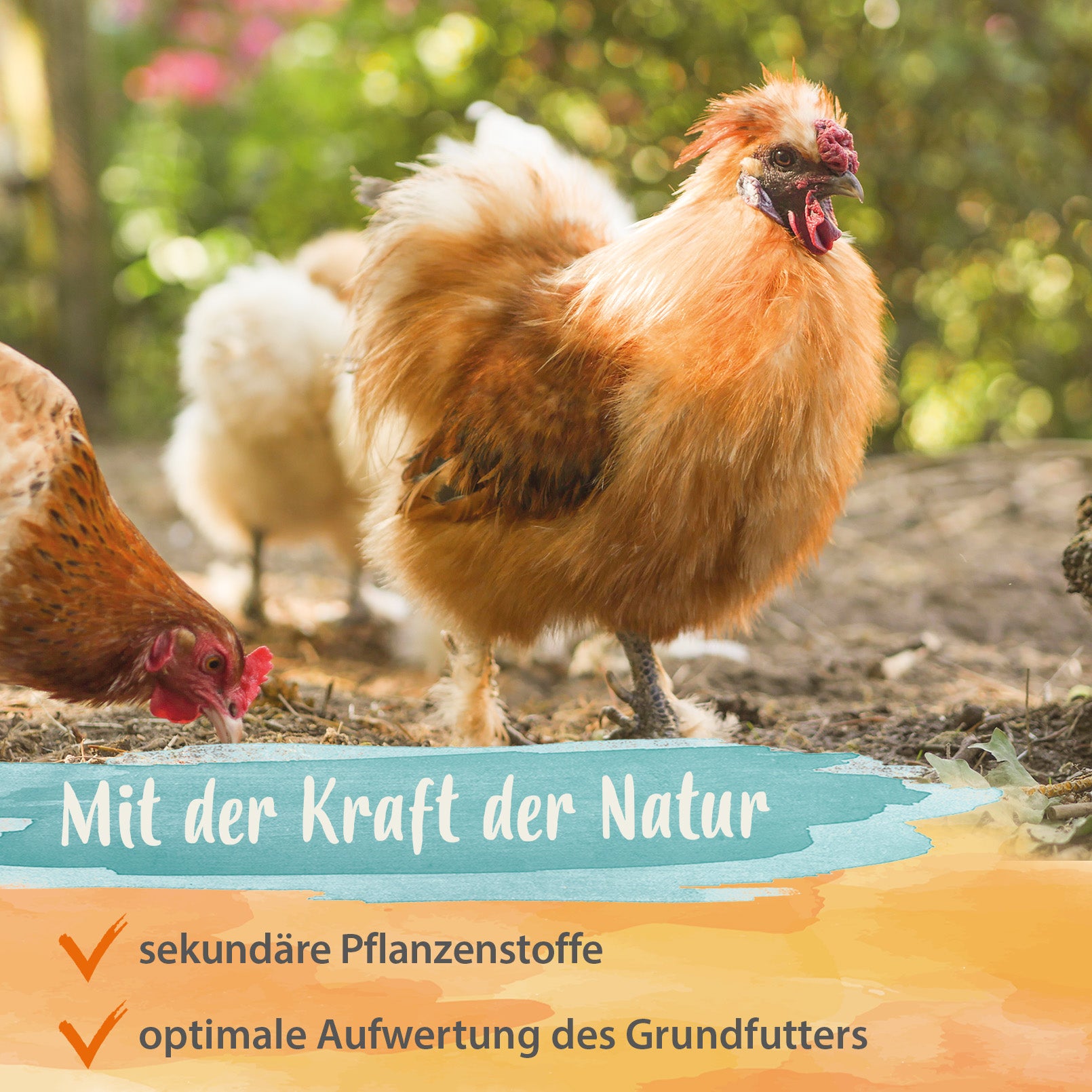 Power Herbs IdaPlus, 500 g – Mischung aus 19 wertvollen Kräutern "Mit Kraft der Natur"