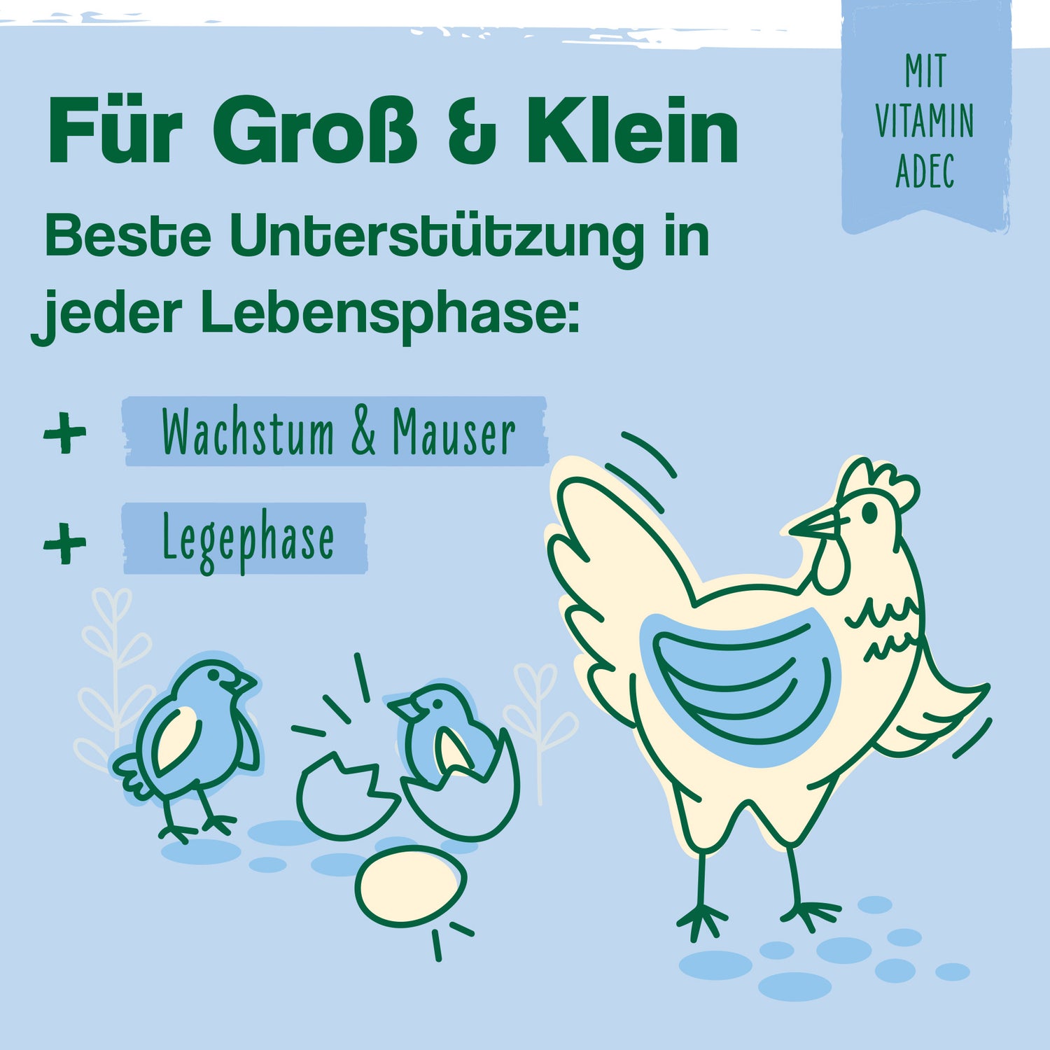 Hühner-Vitamin 4in1 – Vitaminkonzentrat mit Vitamin ADEC für starke Abwehrkräfte
