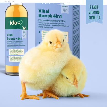 Hühner-Vitamin 4in1 – Vitaminkonzentrat mit Vitamin ADEC für starke Abwehrkräfte