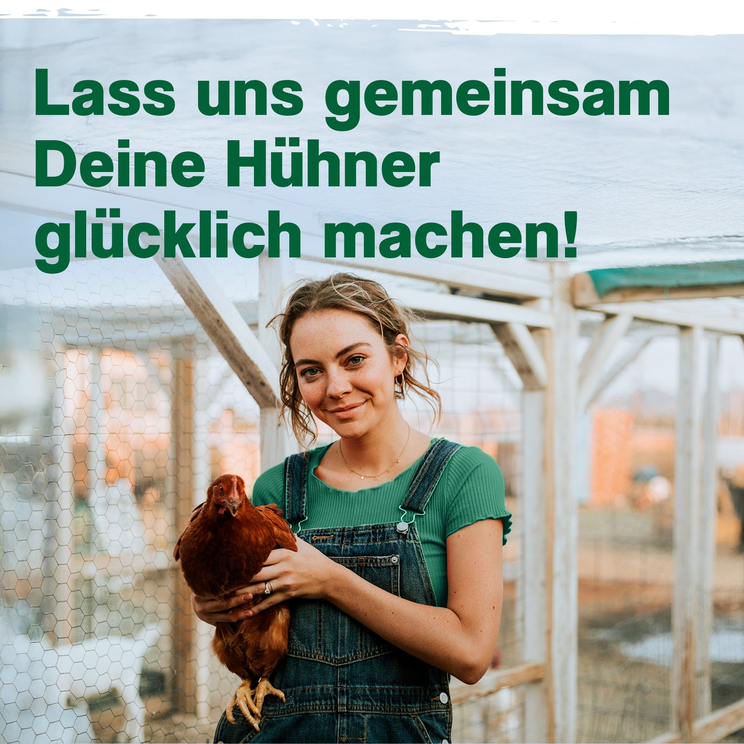 Hühner-Vitamin 4in1 – Vitaminkonzentrat mit Vitamin ADEC für starke Abwehrkräfte