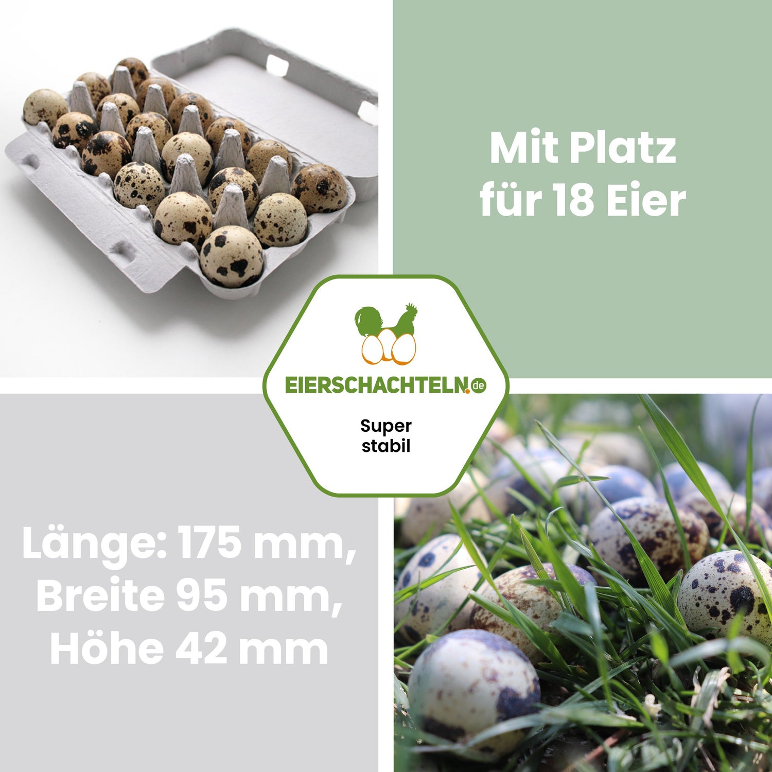 18er Wachteleierverpackung "Mit Platz für 18 Eier Länge: 175 mm, Breite: 95 mm, Höhe 42 mm"