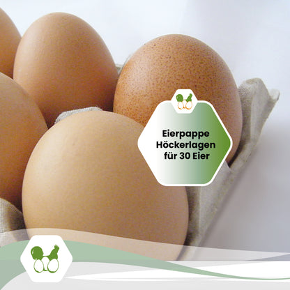 30er Eierpappen "Eierpappe Höckerlagen für 30 Eier"