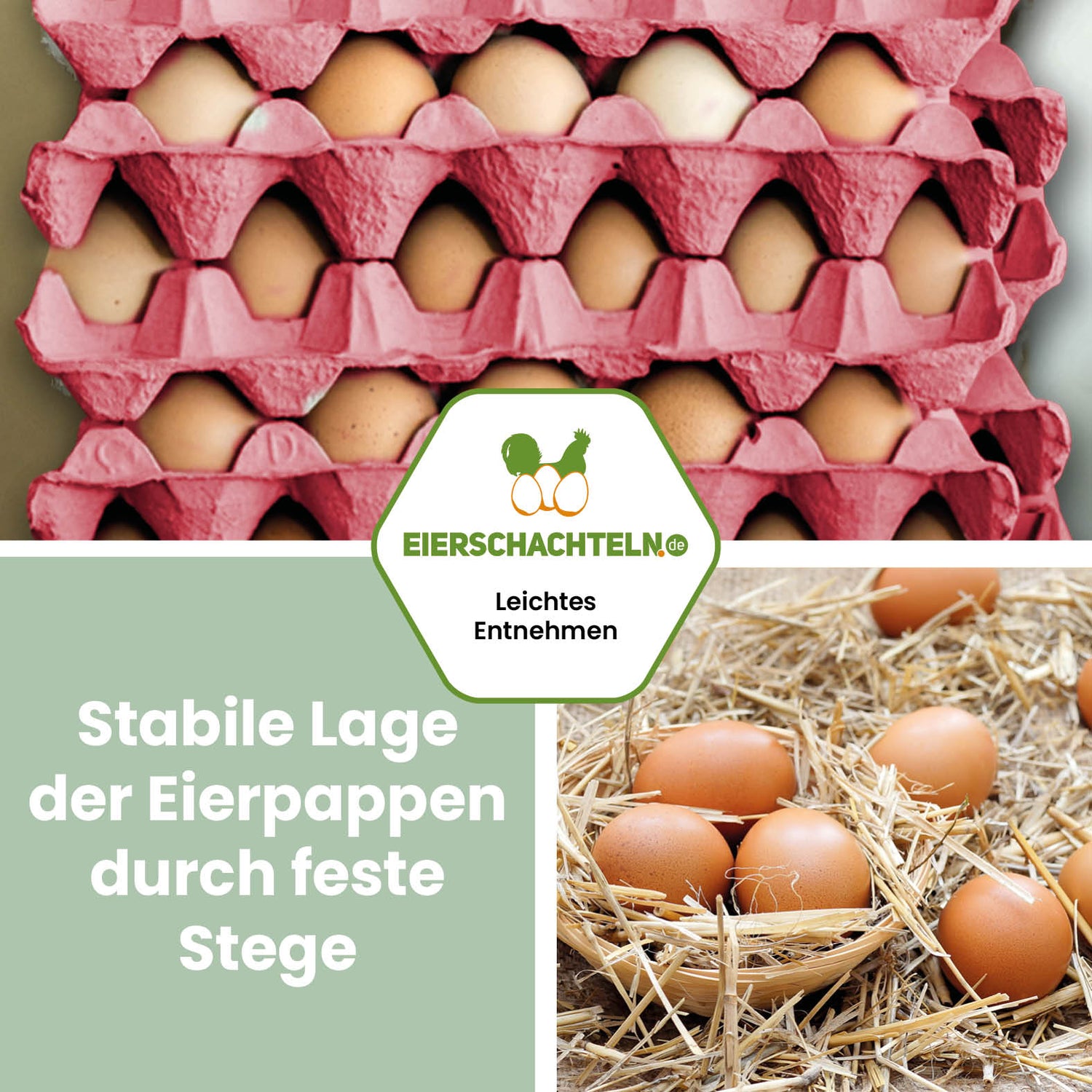 1 Stück 30er Eierpappe Pink – Höckerlage für S bis XL