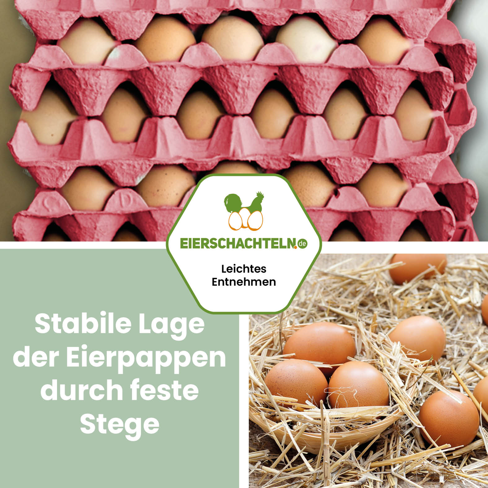 280 Stück 30er Eierpappen Pink – Höckerlagen Vorteilspaket für S bis XL