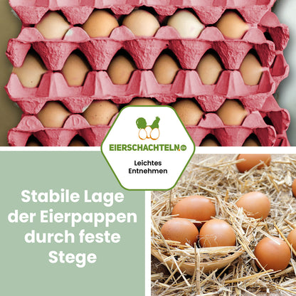 1 Stück 30er Eierpappe Pink – Höckerlage für S bis XL