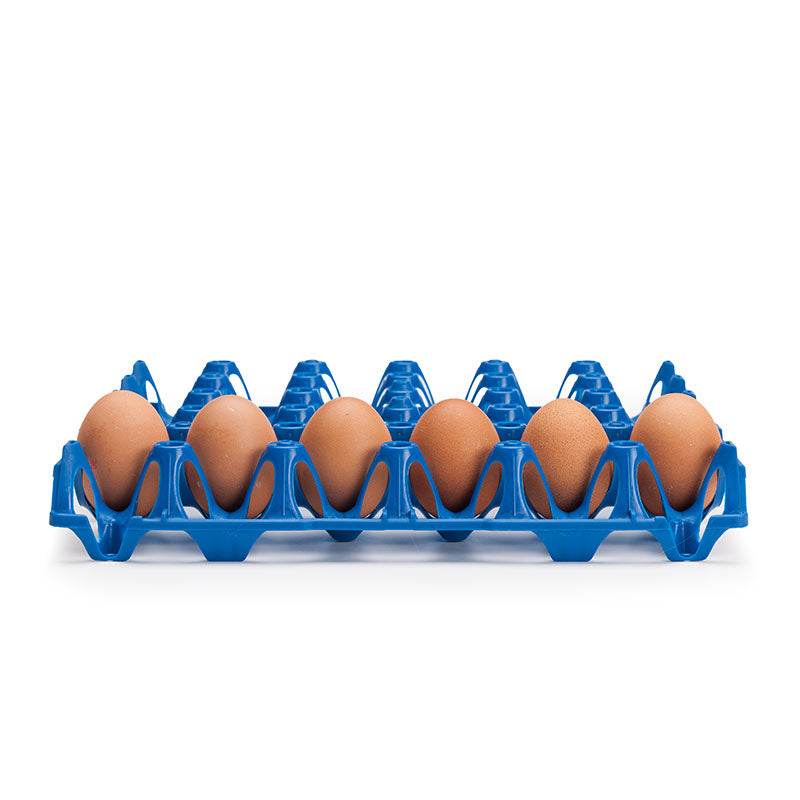Wiederverwendbare Kunststoff Eierhorden / Höckerlagen für 30 Eier, blau