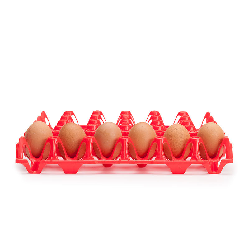 Wiederverwendbare Kunststoff Eierhorden / Höckerlagen für 30 Eier, rot