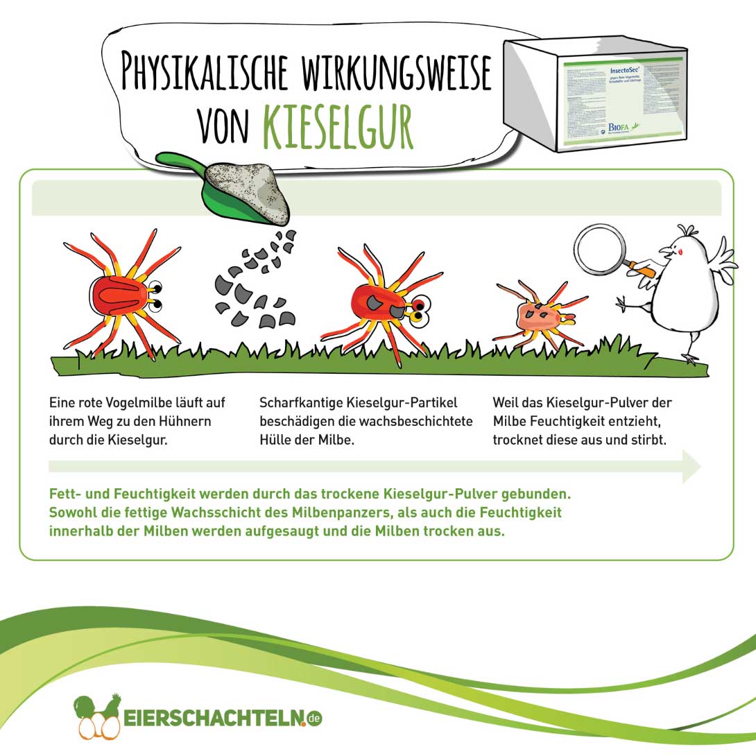Kieselgurpulver InsectoSec biotauglich "Physikalische Wirkungsweise von Kieselgur" 